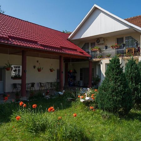 Denisa & Rares Hotel Tasnád Kültér fotó
